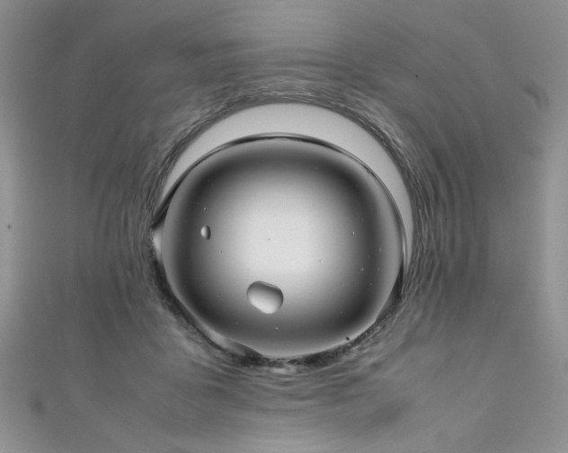 X0000111190411200907011416