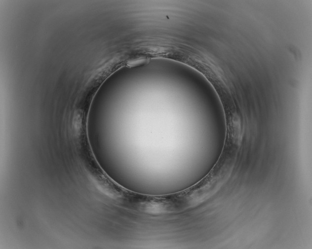 X0000111190412200907011416