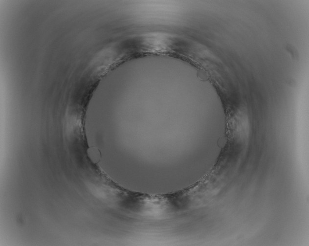 X0000111190415200907011416