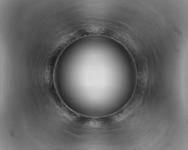 X0000111190416200907011416