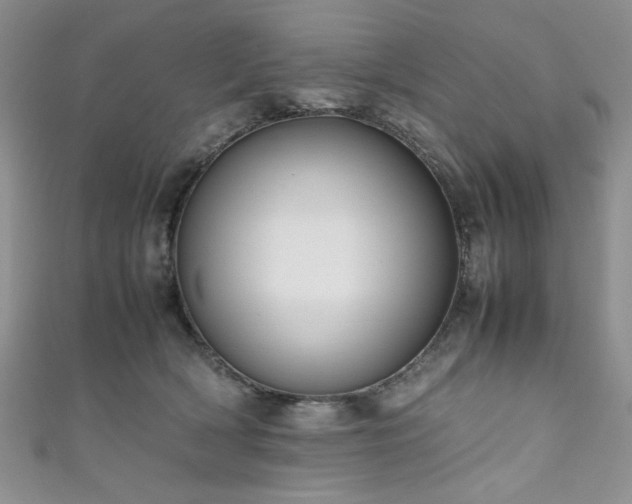 X0000111190418200907011416