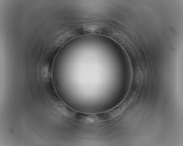 X0000111190420200907011416