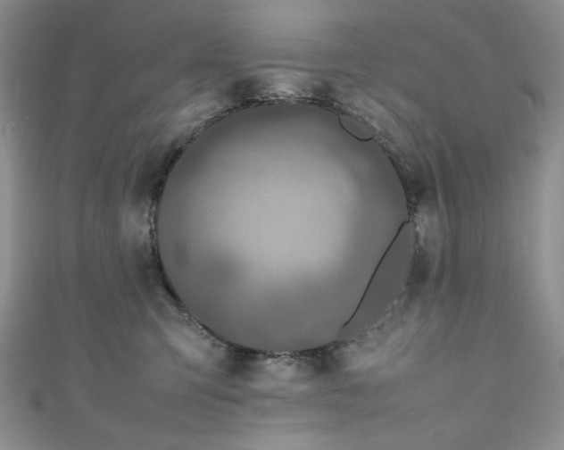 X0000111190423200907011416