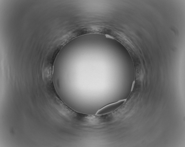 X0000111190425200907011416