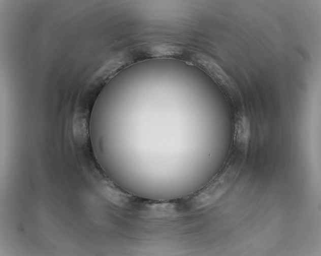 X0000111190426200907011416