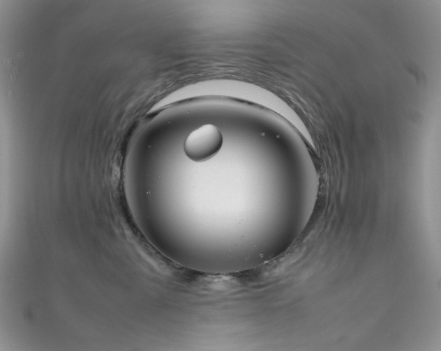 X0000111190427200907011416