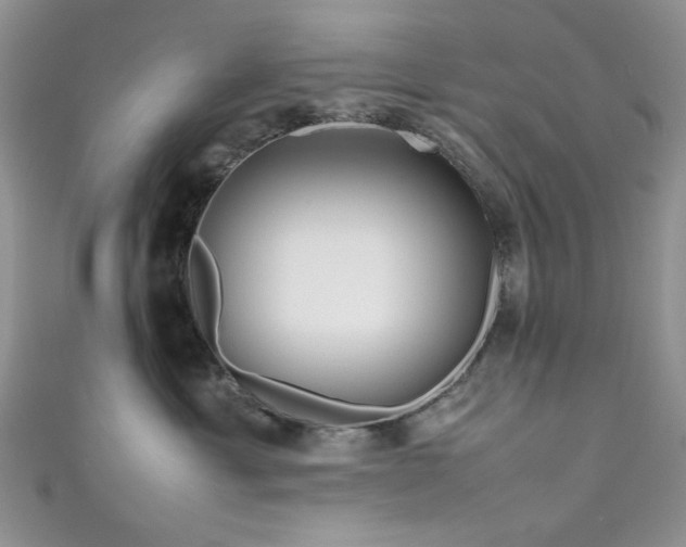 X0000111190429200907011416