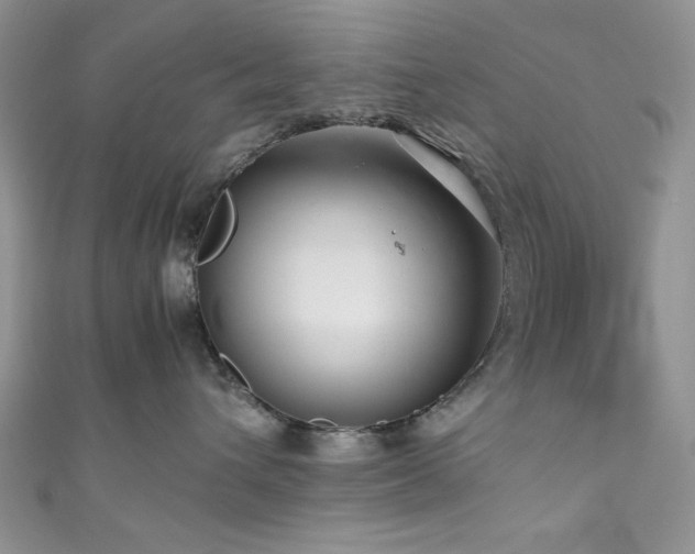 X0000111190432200907011416