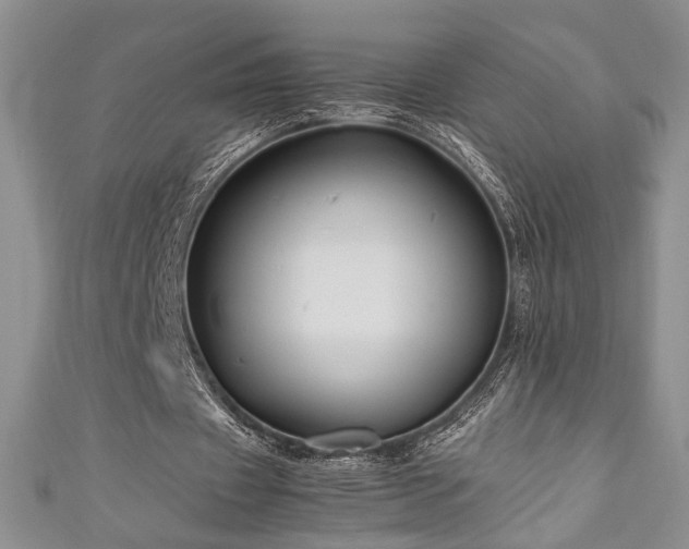 X0000111190433200907011415