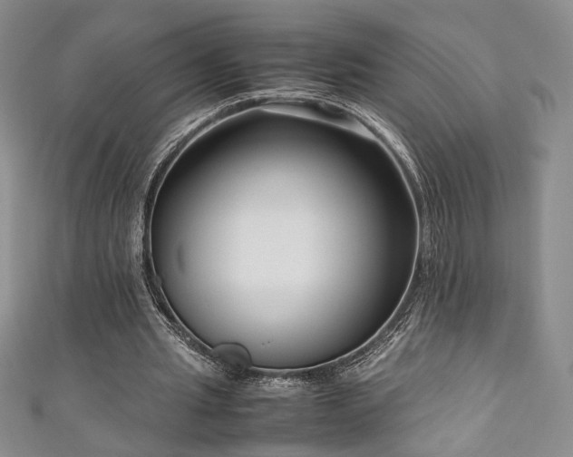 X0000111190437200907011415