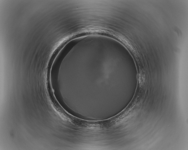 X0000111190438200907011415