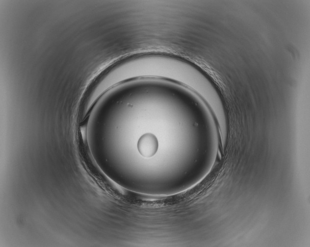 X0000111190440200907011415