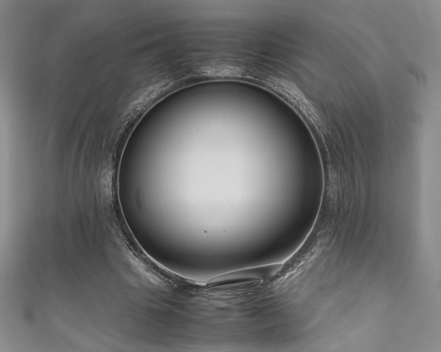 X0000111190441200907011415