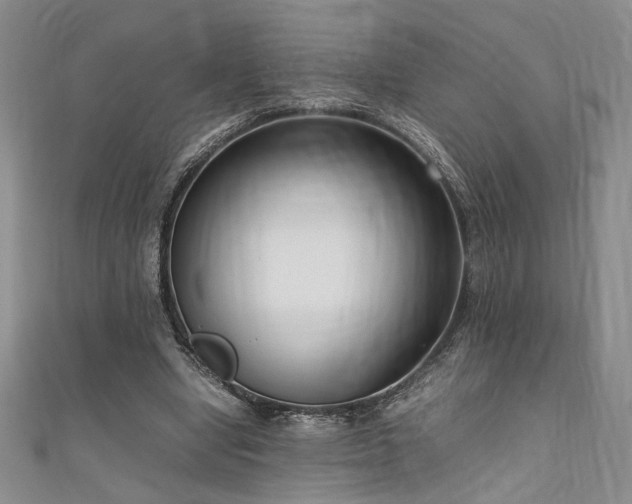 X0000111190442200907011415