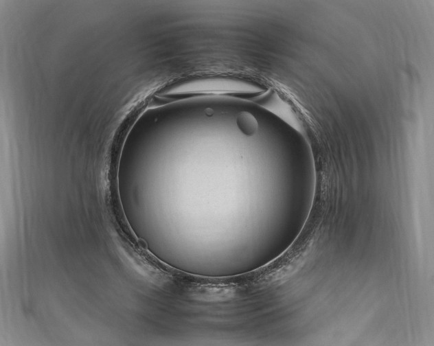 X0000111190443200907011415