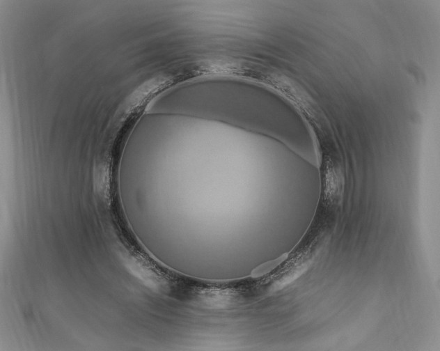 X0000111190444200907011415