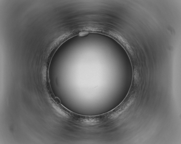 X0000111190445200907011415