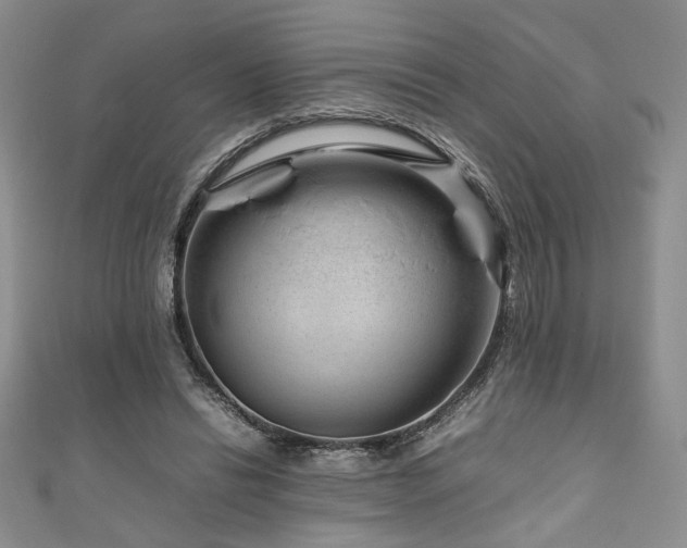 X0000111190446200907011415