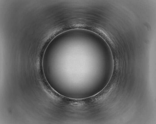 X0000111190447200907011415