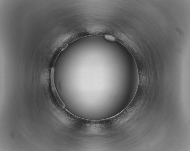 X0000111190448200907011415