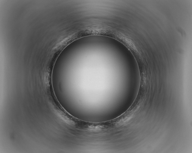 X0000111190450200907011415