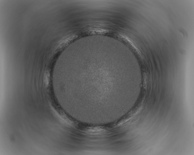 X0000111190451200907011415