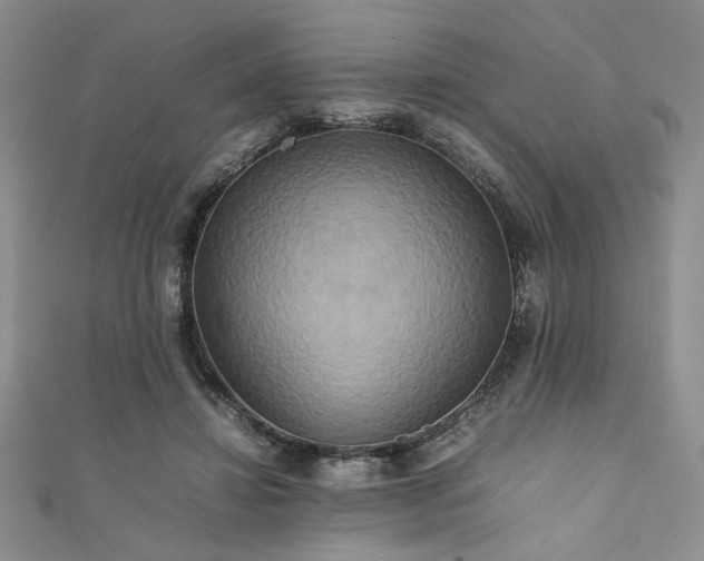 X0000111190452200907011415