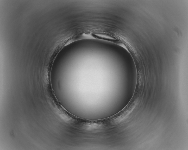 X0000111190453200907011415