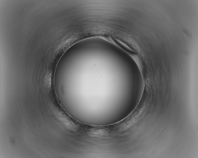 X0000111190454200907011415