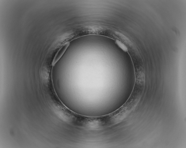 X0000111190456200907011415