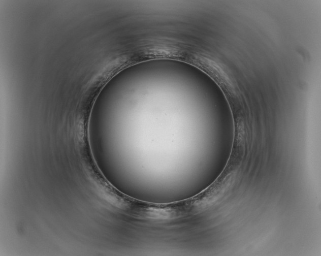 X0000111190457200907011415