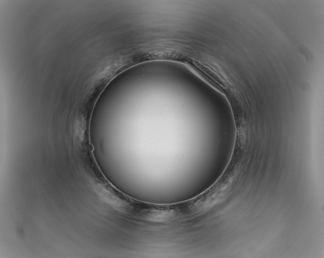 X0000111190458200907011415