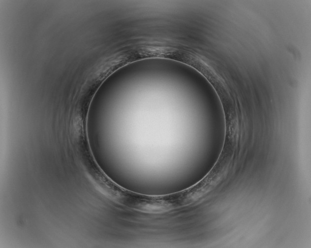 X0000111190459200907011415