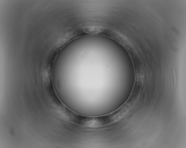 X0000111190460200907011415