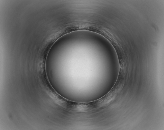 X0000111190462200907011415