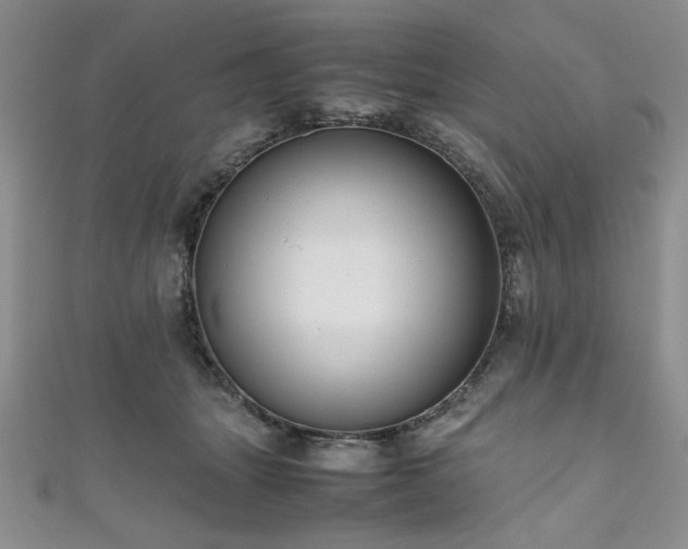 X0000111190463200907011415