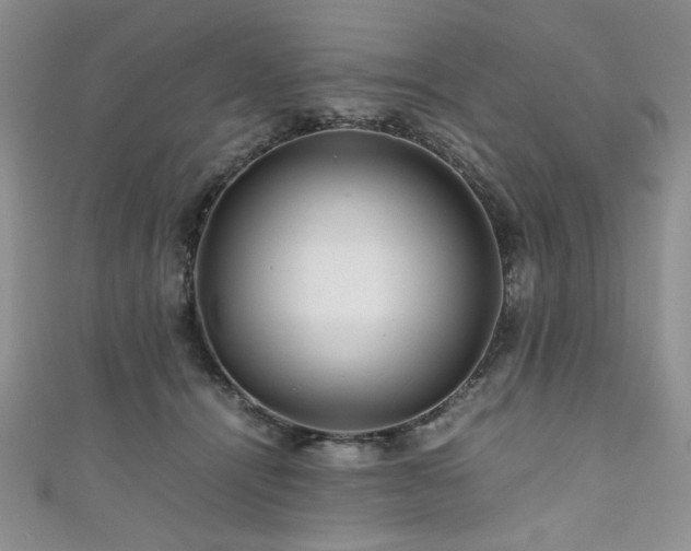 X0000111190464200907011415