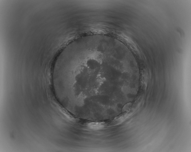 X0000111190465200907011415