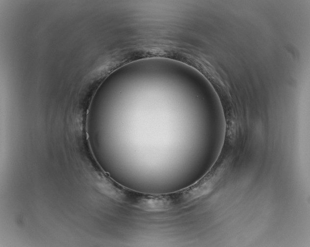 X0000111190466200907011415