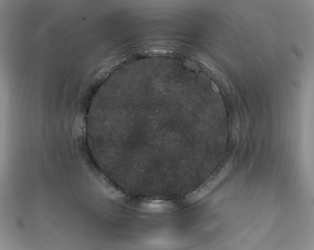 X0000111190467200907011415