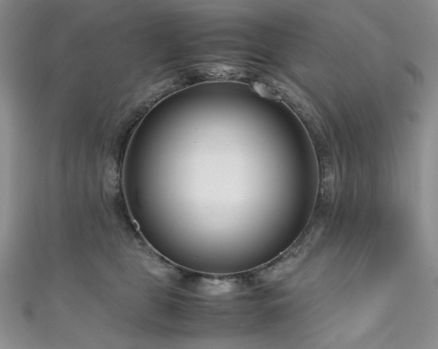 X0000111190469200907011415