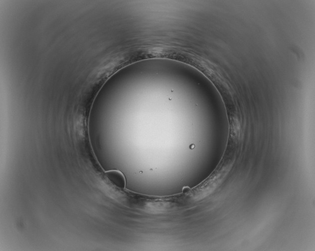 X0000111190470200907011415