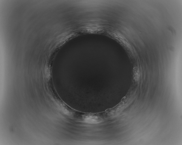 X0000111190471200907011415