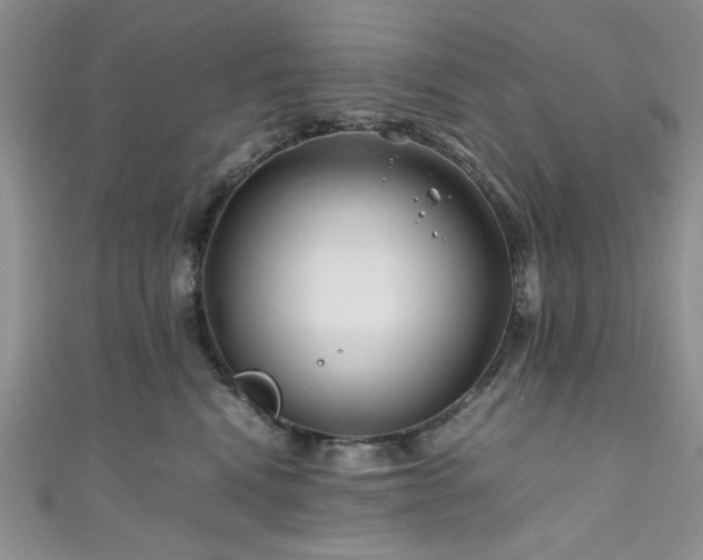 X0000111190472200907011415