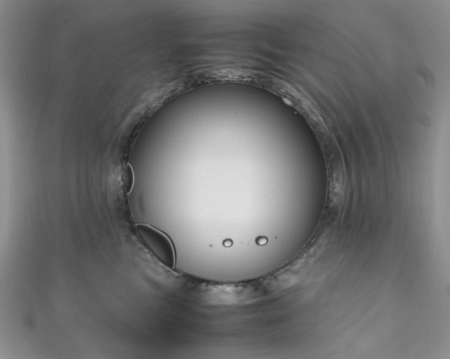 X0000111190473200907011415