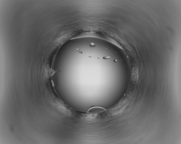 X0000111190474200907011415