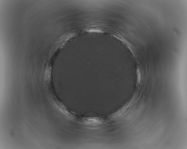 X0000111190475200907011415