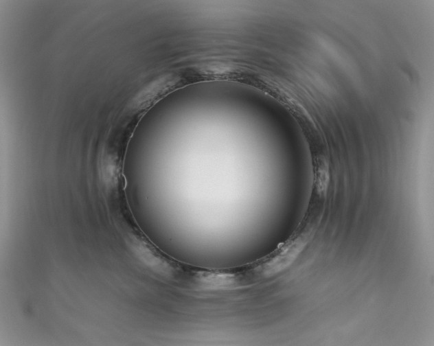 X0000111190476200907011415