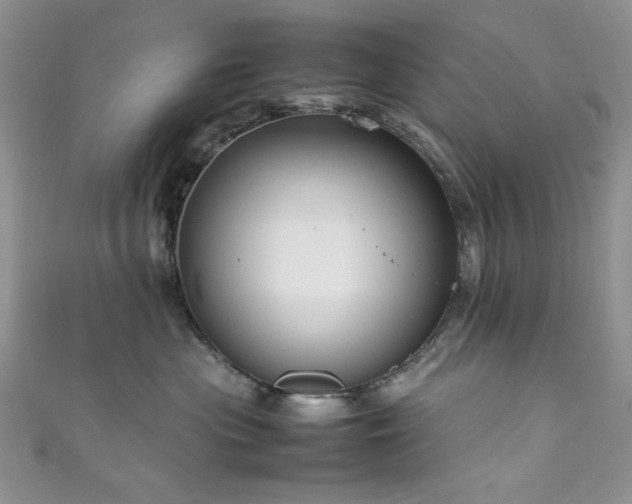 X0000111190477200907011415