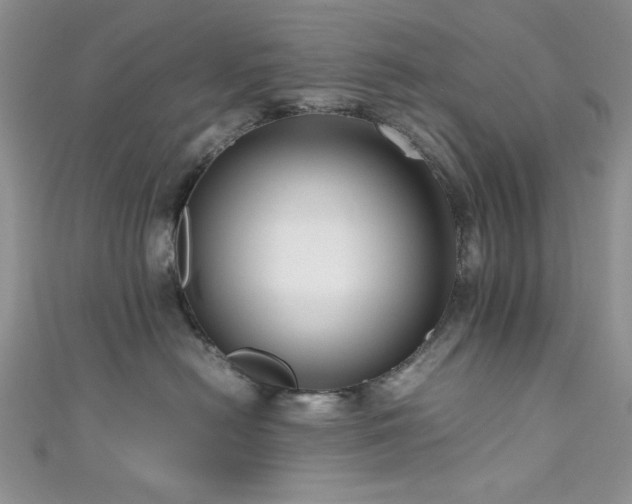 X0000111190478200907011415